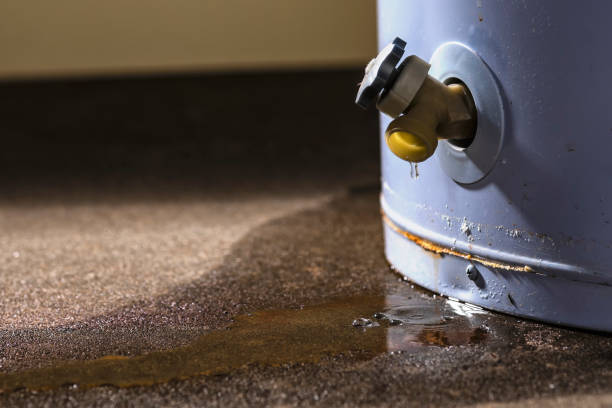 Best Professional water damage repair  in Durham, NC