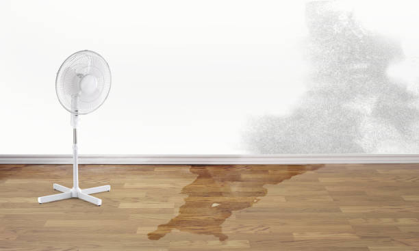 Best Water damage restoration company  in Durham, NC