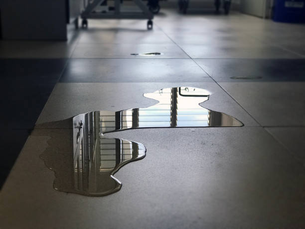 Best Water damage restoration near me  in Durham, NC