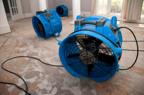 Best Carpet water damage restoration  in Durham, NC