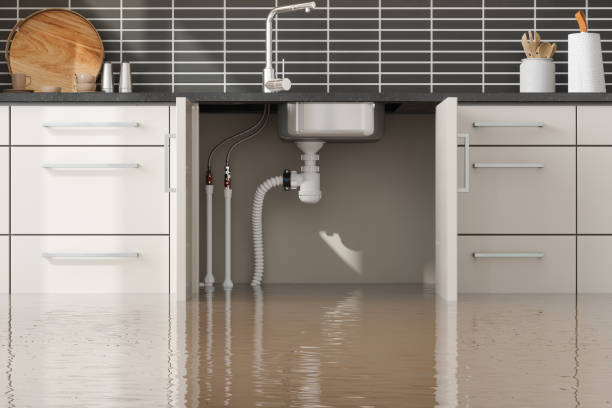 Best Basement water damage restoration  in Durham, NC