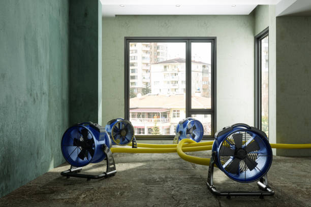Best Ceiling water damage repair  in Durham, NC